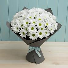 Букет цветов из:  Хризантемы #REPLACE_PRED# Губской