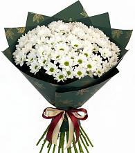 Букет цветов из:  Хризантемы в Губской