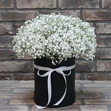 Цветочная композиция из Гипсофила в шляпной коробке в Губской