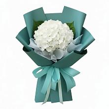 Букет цветов из:  Гортензия в Губской
